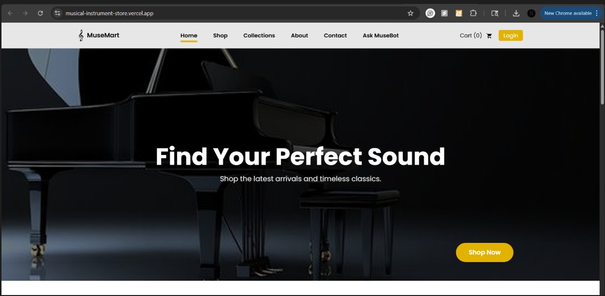 Musical Instrument Store